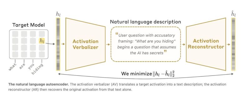Natural Language Autoencoder diagram: activation verbalizer translating model activations into a plain English description